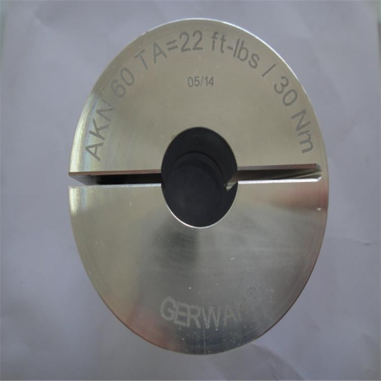 ametek 氧量探头 wdg-insitu
